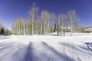 View of yard covered in snow