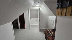 Additional living space featuring lofted ceiling, a textured ceiling, and carpet flooring