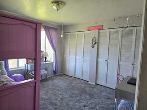 Bedroom featuring multiple windows, carpet, and a textured ceiling