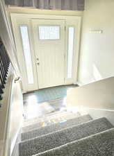 Entrance foyer featuring wood-type flooring