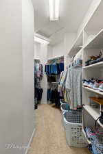 Spacious closet featuring carpet flooring