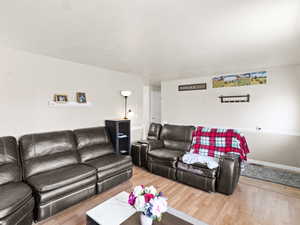 Living room featuring wood-type flooring