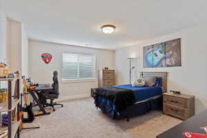 Basement bedroom 1 with walk-in closet