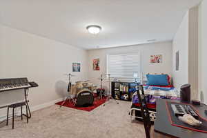 Basement bedroom 2 with walk-in closet