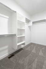 Walk in closet featuring carpet floors