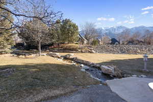 View of yard with a mountain view