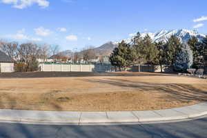 View of yard with a mountain view