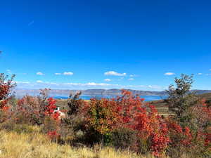 Water view with a mountain view