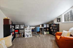 Office area with lofted ceiling, a textured ceiling, and carpet flooring