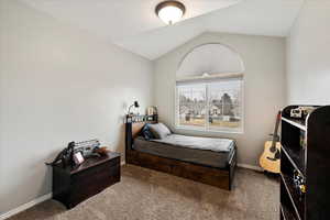 Carpeted bedroom with vaulted ceiling