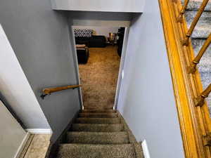 Staircase featuring carpet