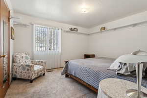 Bedroom featuring carpet and a textured ceiling