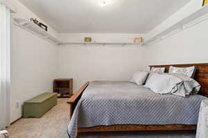 Bedroom with a textured ceiling and carpet flooring