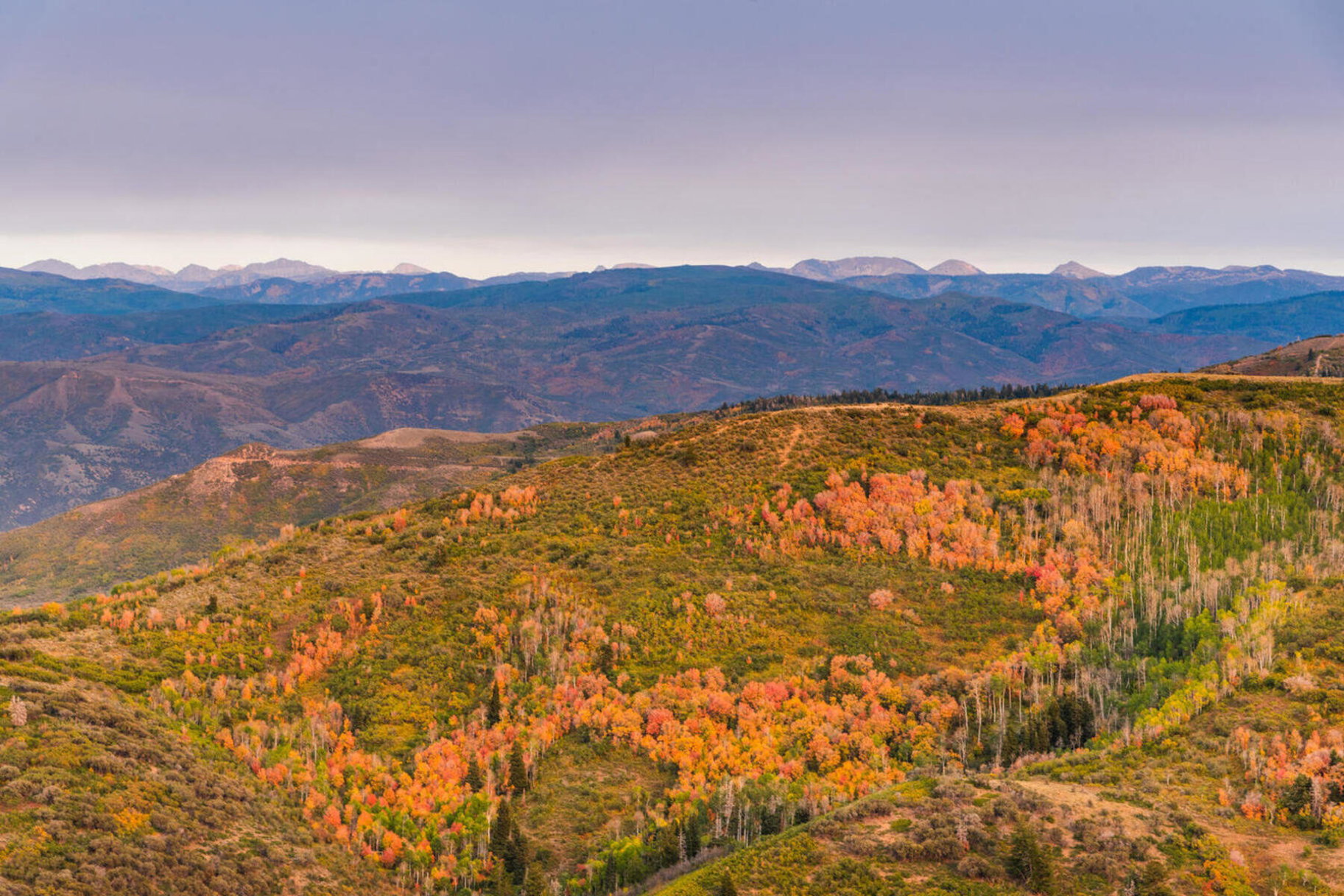 Mountain view