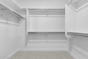 Spacious closet featuring light carpet