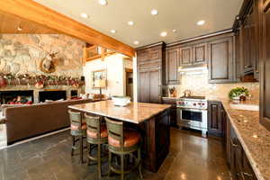 Kitchen with dark brown cabinetry, a stone fireplace, light stone counters, a center island, and luxury stove