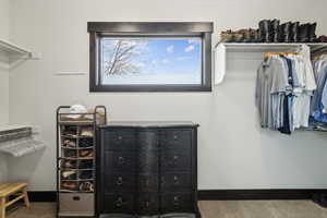 Spacious closet with carpet flooring