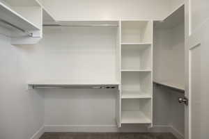 Spacious closet featuring dark carpet