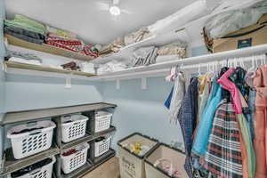 Spacious closet with carpet flooring