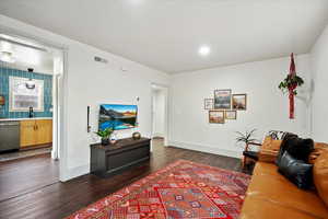 Living room featuring dark wood-type flooring and sink