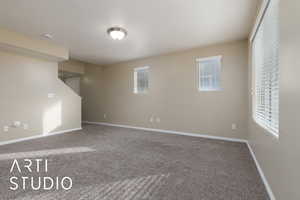 Basement with carpet