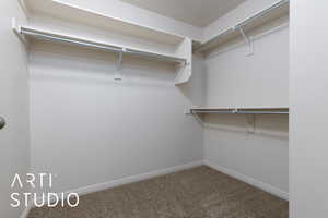 Spacious closet featuring carpet flooring