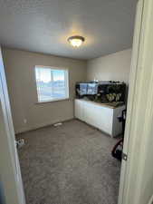 Laundry room featuring carpet flooring and a textured ceiling