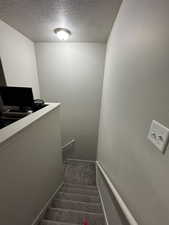 Stairway with carpet floors and a textured ceiling