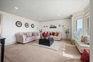 Living room featuring ornamental molding, light carpet, and a textured ceiling