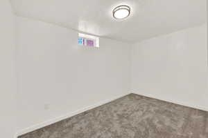 Basement bedroom