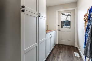 Entryway with dark wood-type flooring