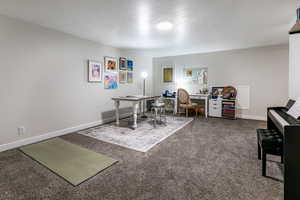 Carpeted office space with a textured ceiling