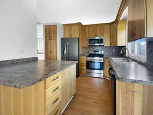 Kitchen featuring tasteful backsplash, sink, dark wood-type flooring, and stainless steel appliances