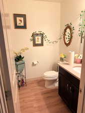 Bathroom with vanity, hardwood / wood-style flooring, and toilet