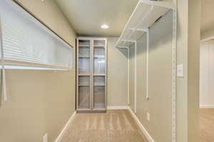 Spacious closet with light carpet