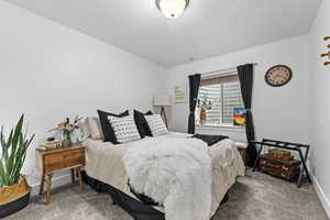 Bedroom with carpet flooring and a textured ceiling