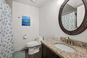 Bathroom with vanity, toilet, curtained shower, and wood-type flooring