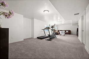 Workout room with carpet flooring