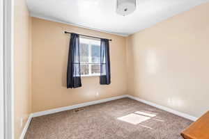 Carpeted empty room featuring visible vents and baseboards