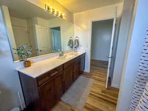 Bathroom with vanity and wood-type flooring