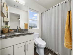 Bathroom with vanity, wood-type flooring, and toilet