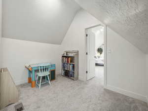 Rec room featuring light carpet, lofted ceiling, and a textured ceiling