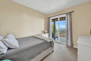 Carpeted bedroom featuring access to exterior