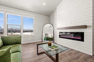 Living room featuring a mountain view and wood-type flooring