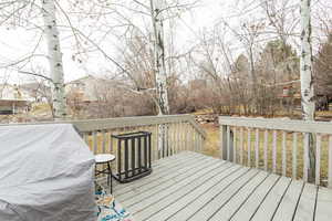 View of wooden deck