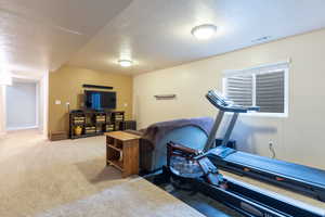 Workout room featuring a textured ceiling and carpet flooring