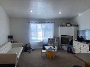 Carpeted living room with a textured ceiling