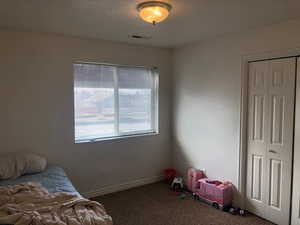 Bedroom with carpet flooring and a textured ceiling