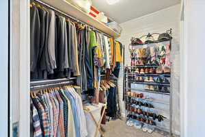 Spacious closet with carpet