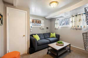 Living room featuring a healthy amount of sunlight and carpet flooring